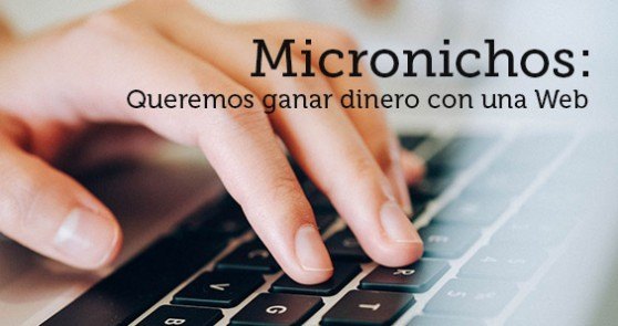 Micronichos: Queremos Ganar Dinero con una Web